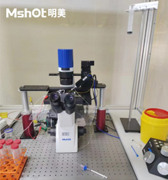 國產(chǎn)顯微鏡用于電生理
