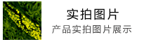 驅(qū)動(dòng)，手冊(cè)，彩頁(yè)等資料下載