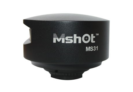 @΢Rz^ MS31